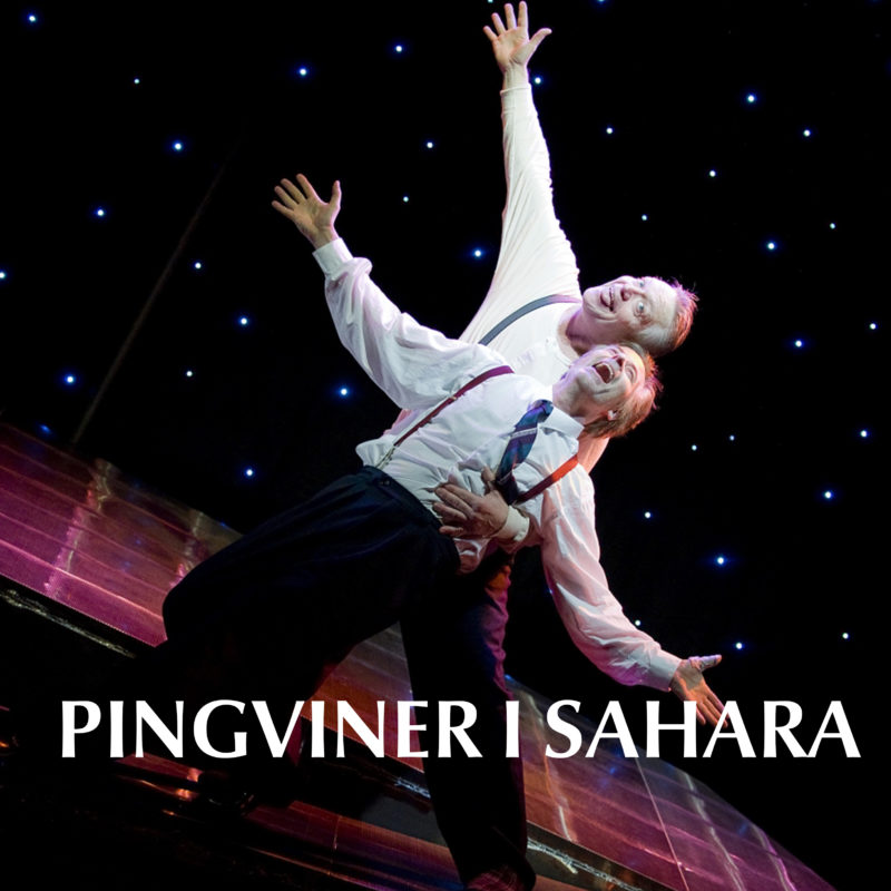 pingviner i sahara